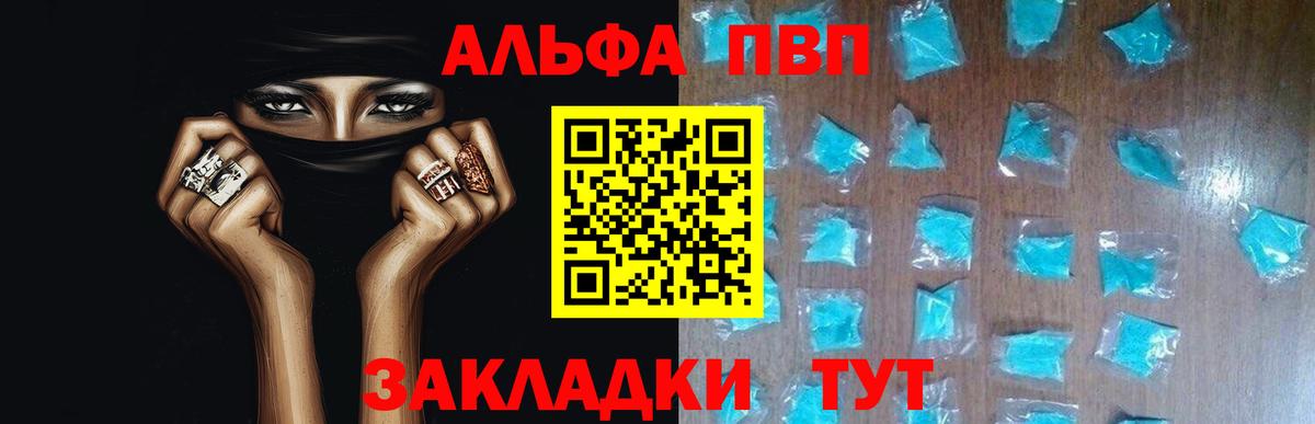 Альфа ПВП СК КРИС Обь